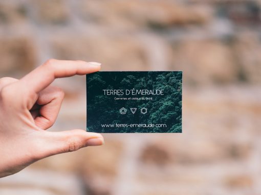 5 Elementos en Una Tarjeta de Presentación y Cómo Crear la Tarjeta Perfecta